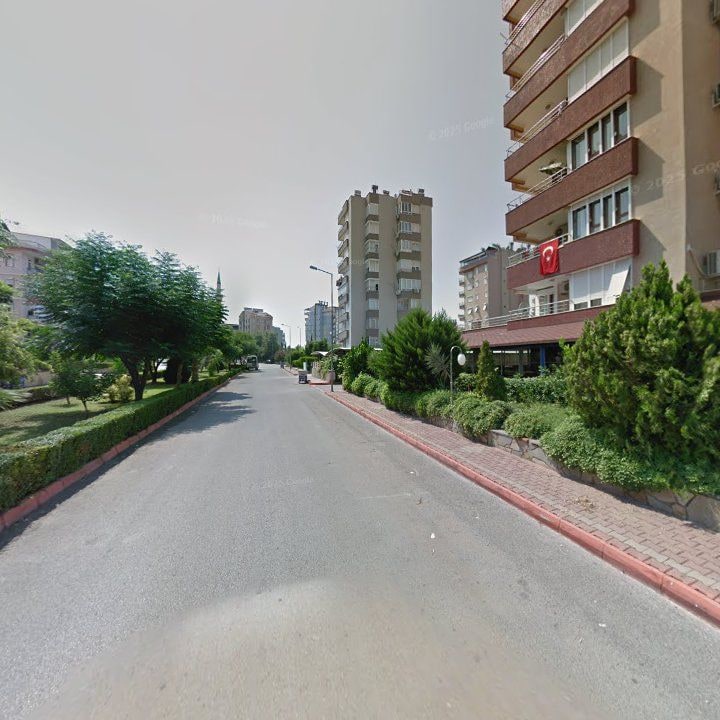 Fotoğraf 13