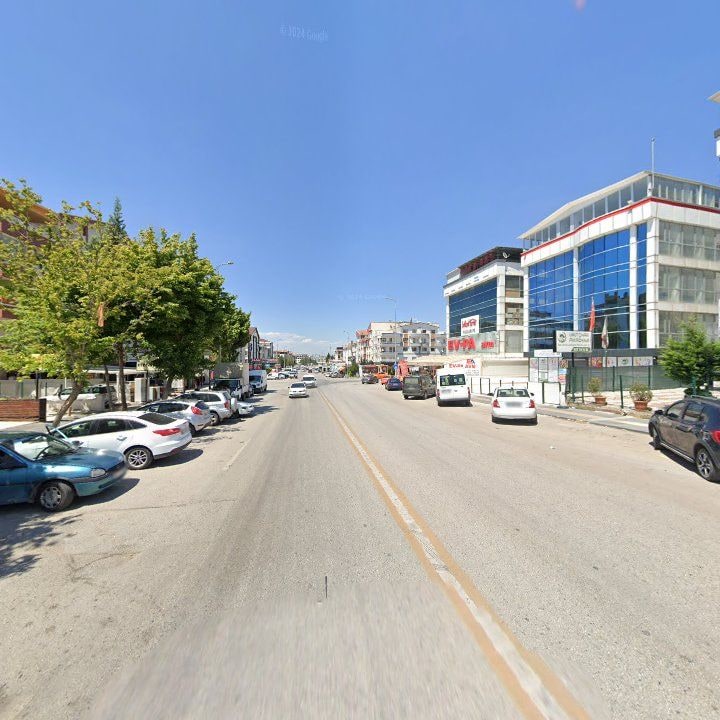 Fotoğraf 7