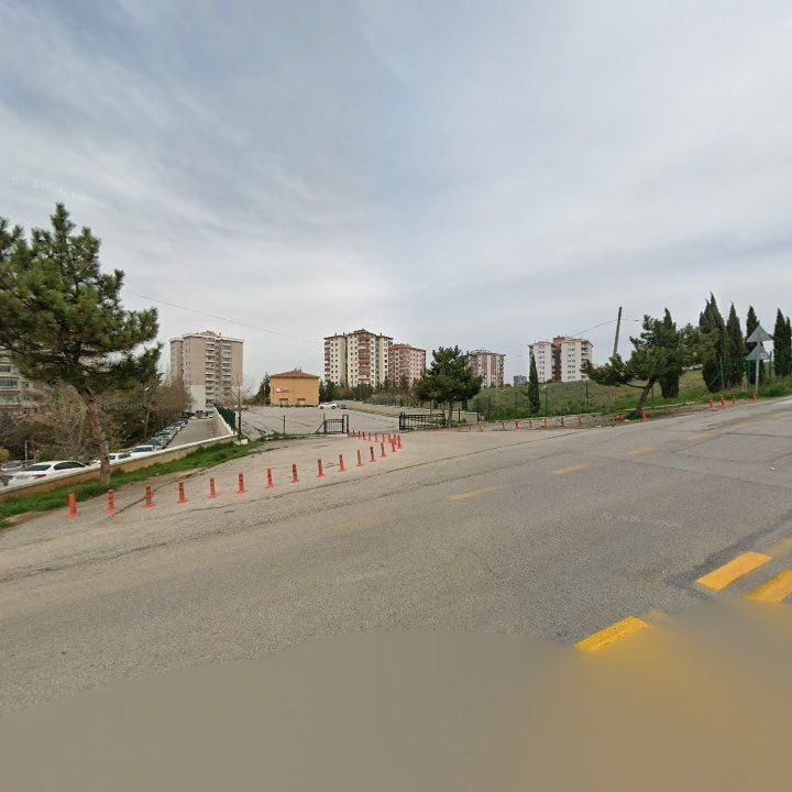 Fotoğraf 13