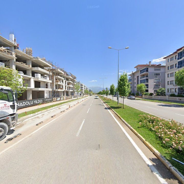 Fotoğraf 12