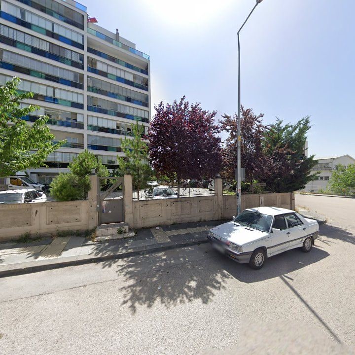 Fotoğraf 8