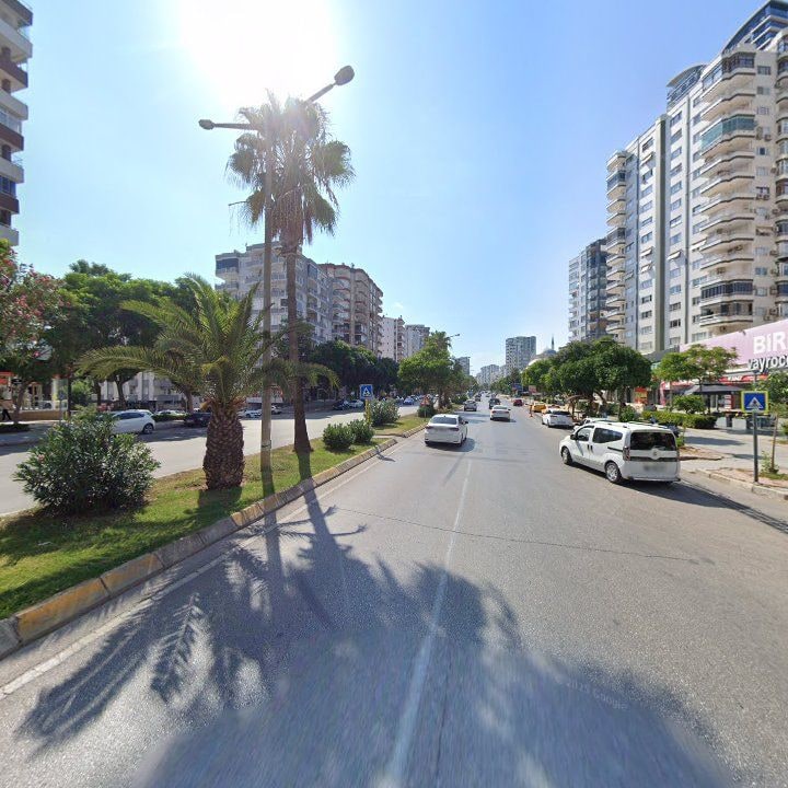 Fotoğraf 12