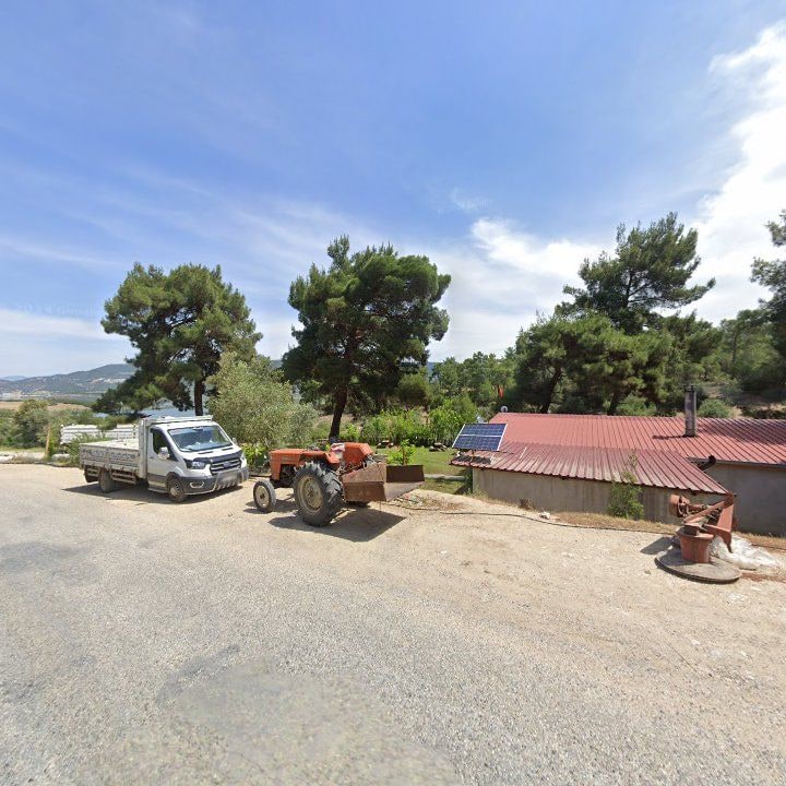 Fotoğraf 8