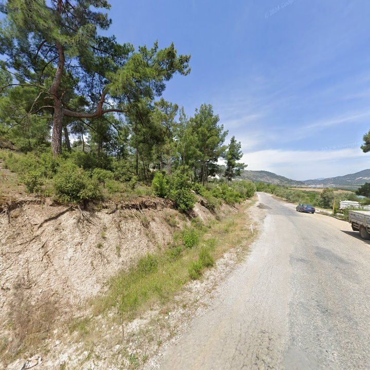 Fotoğraf 11