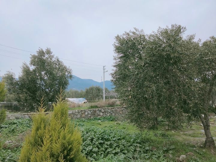 Kapalı