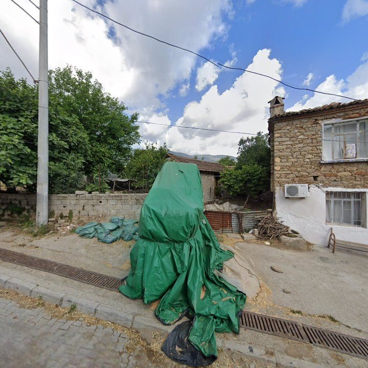 Fotoğraf 10