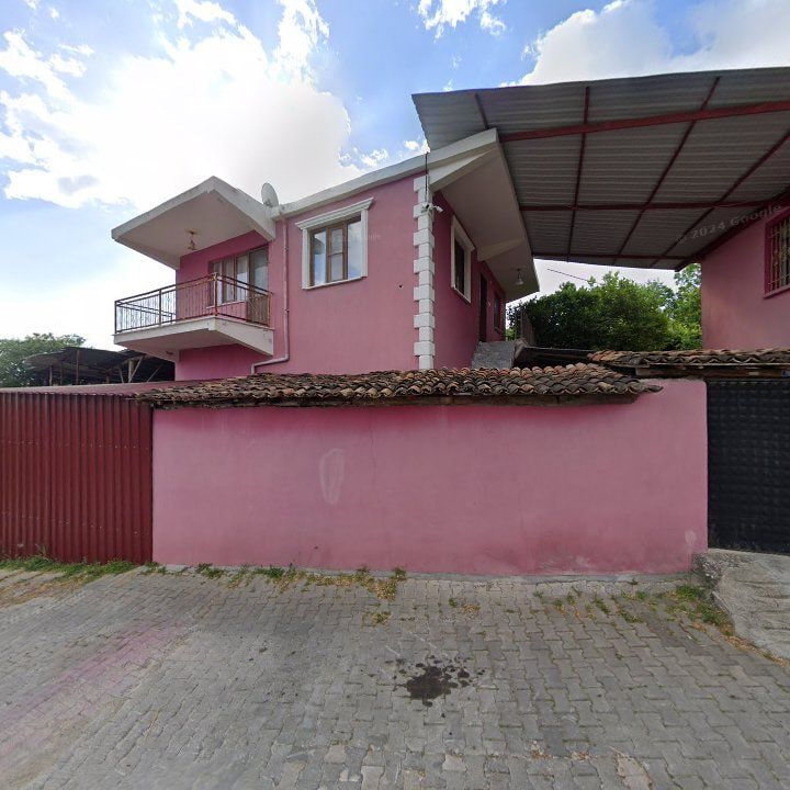Fotoğraf 12