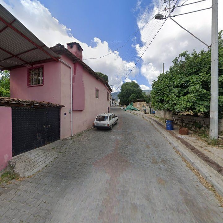 Fotoğraf 13