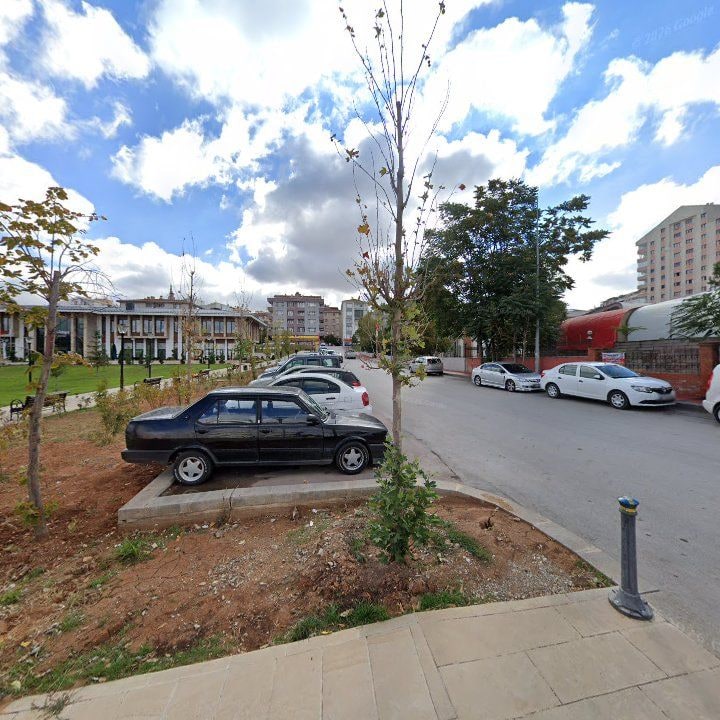 Fotoğraf 7