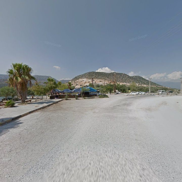 Fotoğraf 8