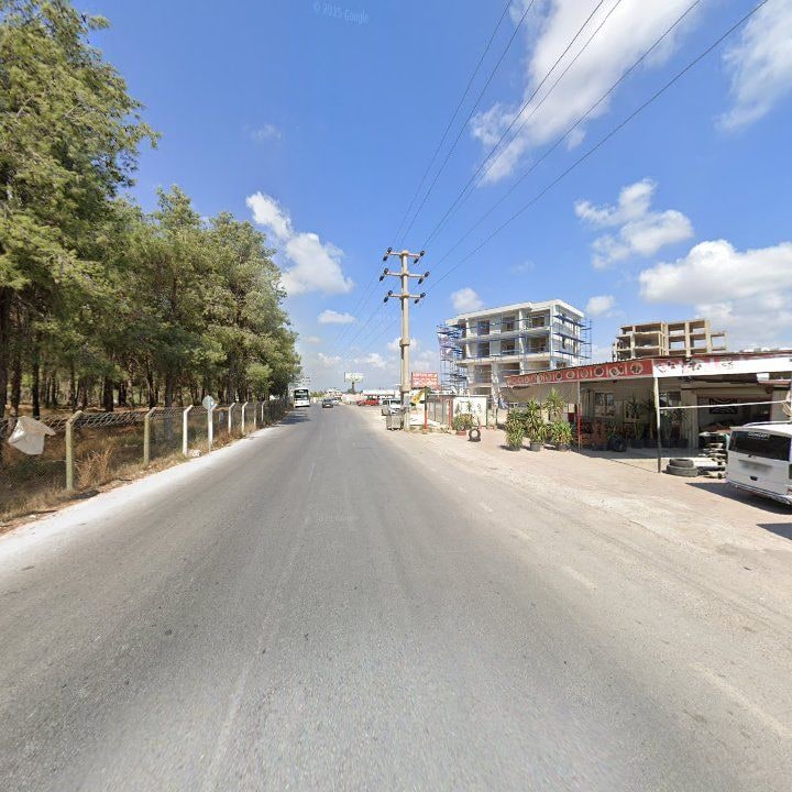 Fotoğraf 7