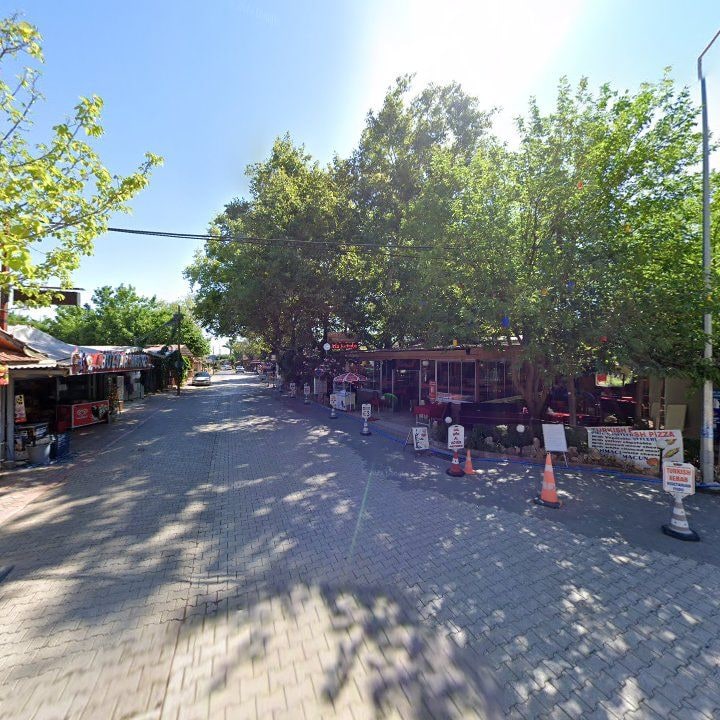 Fotoğraf 8