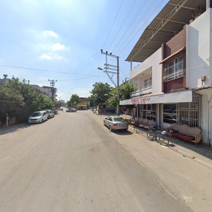 Fotoğraf 9