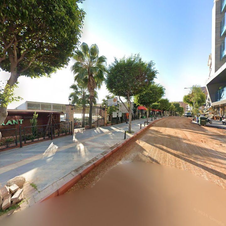 Fotoğraf 8