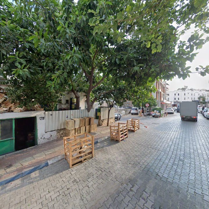 Fotoğraf 9