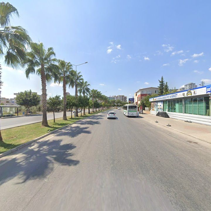Fotoğraf 12