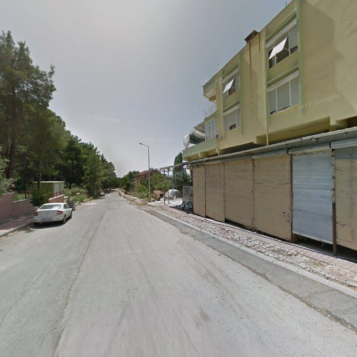 Fotoğraf 9