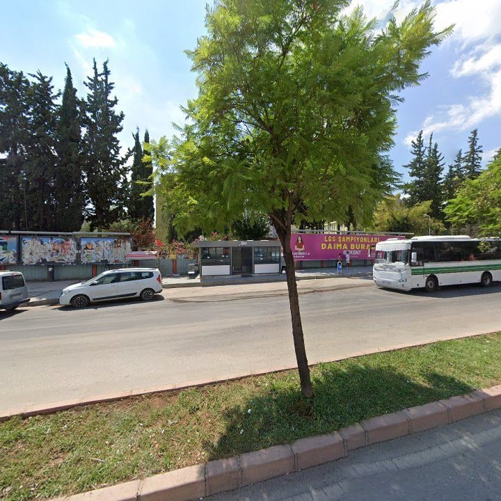 Fotoğraf 11