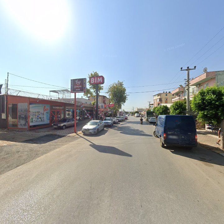 Fotoğraf 3