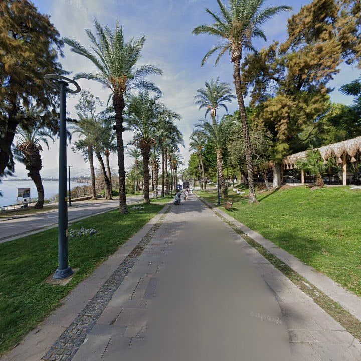 Fotoğraf 9