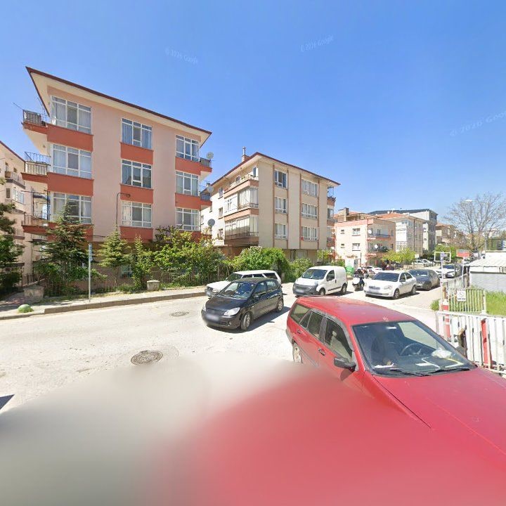 Fotoğraf 8