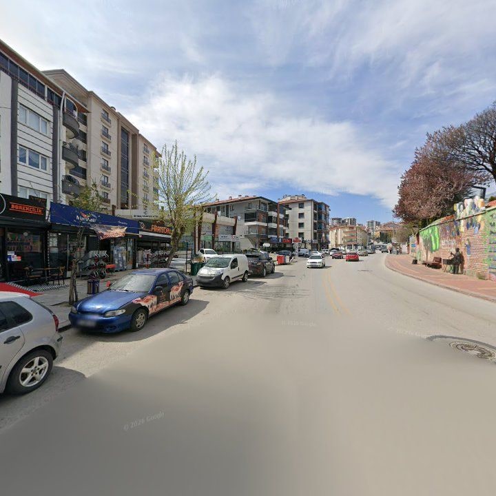 Fotoğraf 10