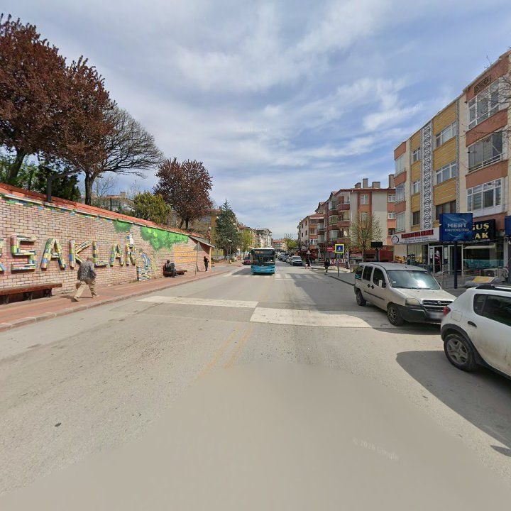 Fotoğraf 12