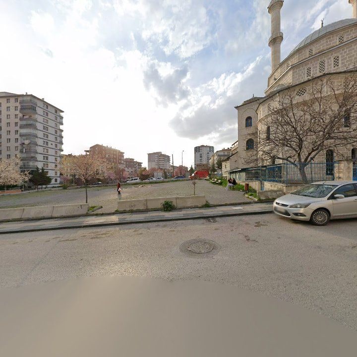 Fotoğraf 8