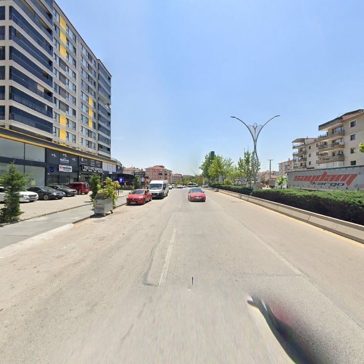 Fotoğraf 8