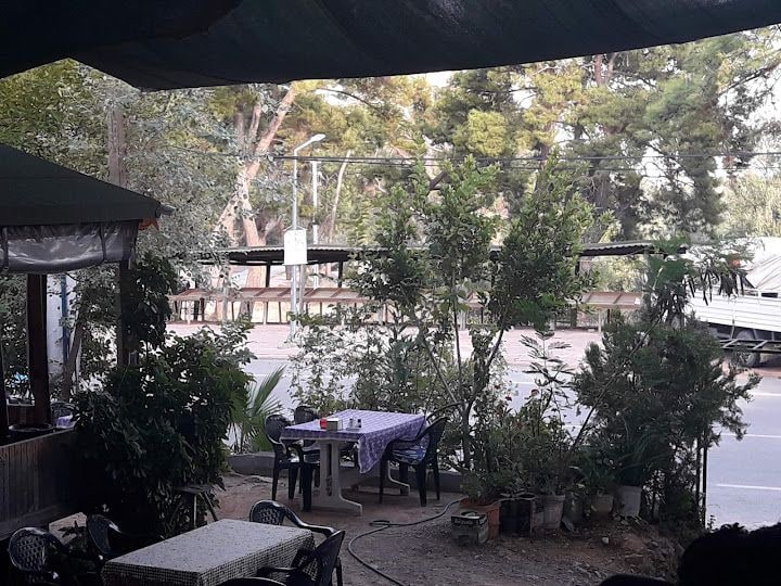 Fotoğraf 3