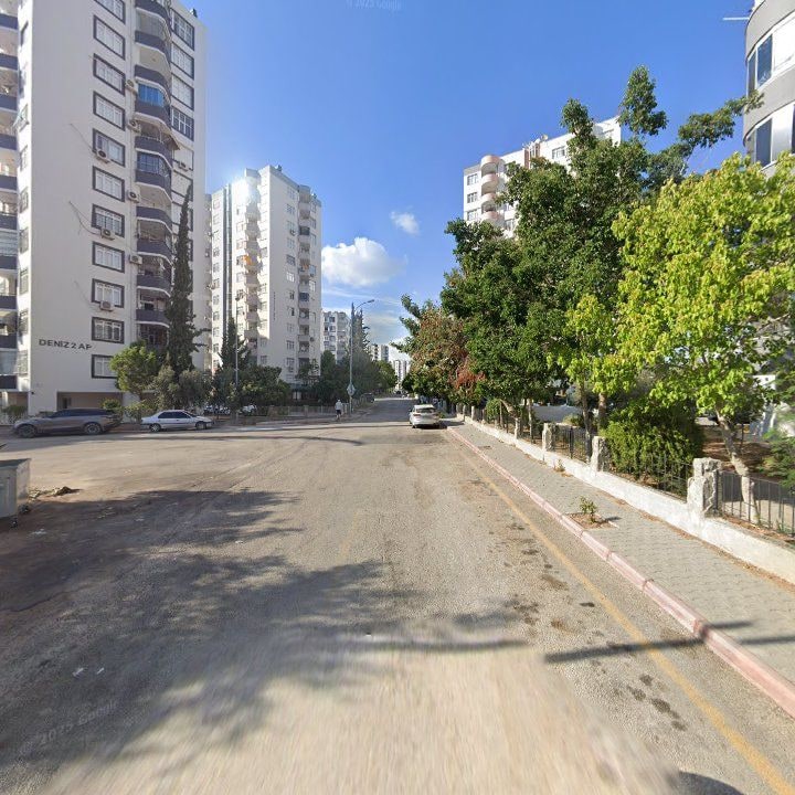 Fotoğraf 7