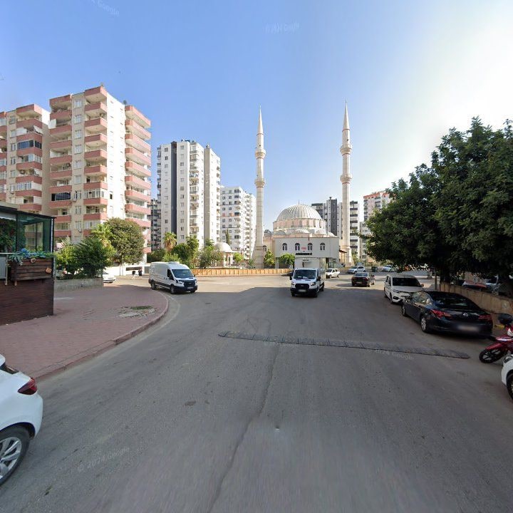 Fotoğraf 10