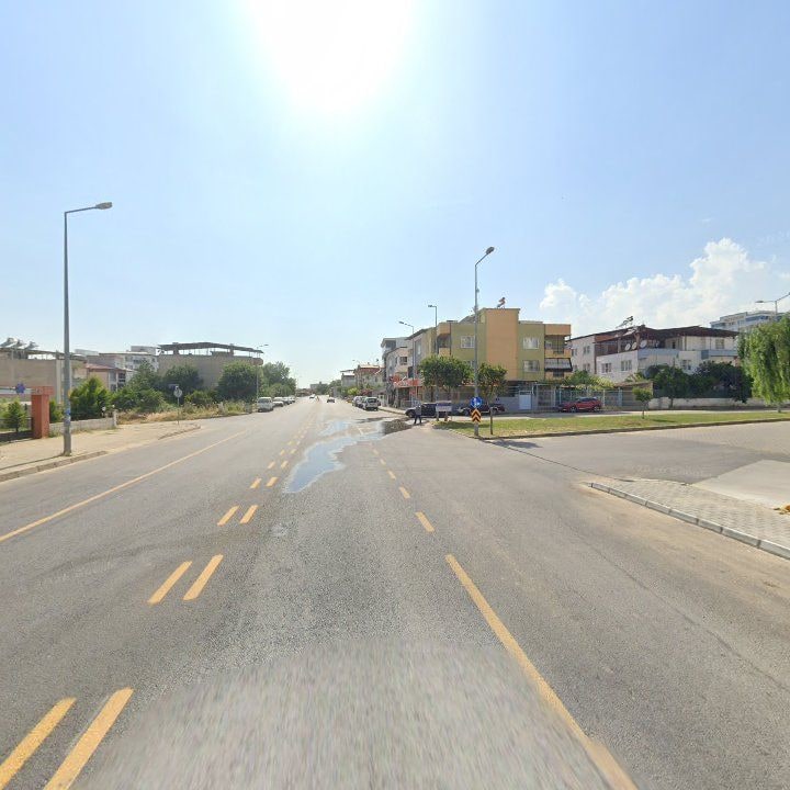 Fotoğraf 11