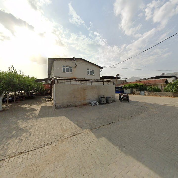 Fotoğraf 8