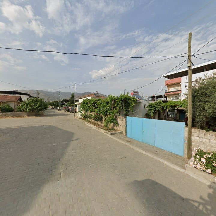 Fotoğraf 9