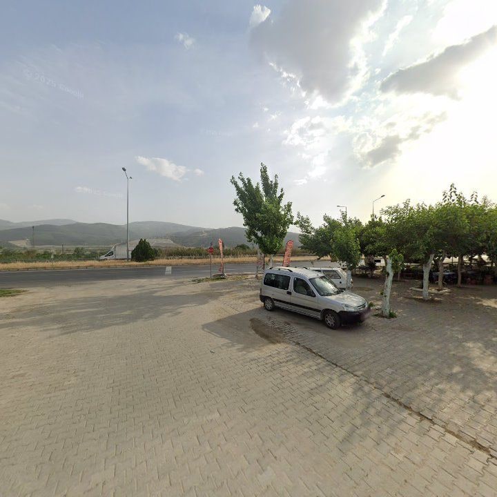 Fotoğraf 11