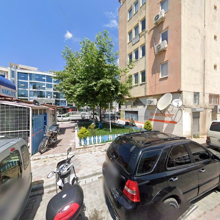 Fotoğraf 11
