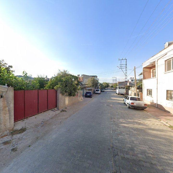 Fotoğraf 3