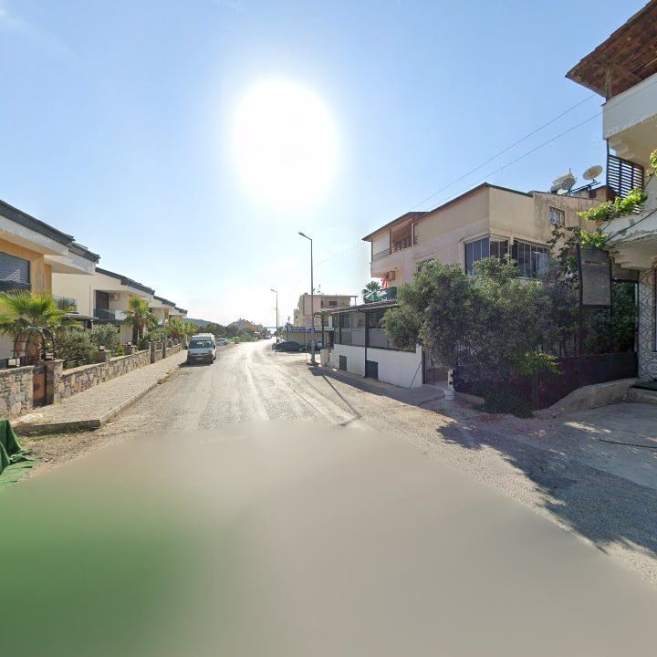 Fotoğraf 7