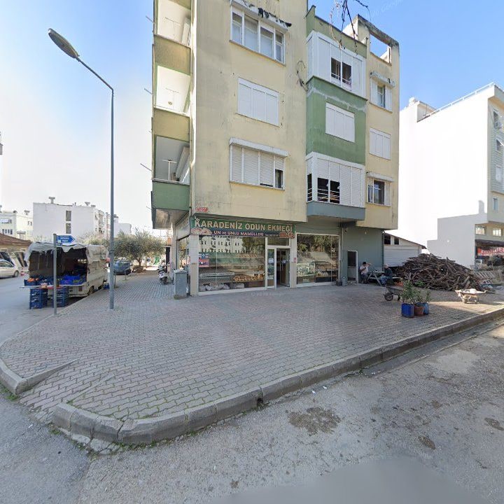 Fotoğraf 3