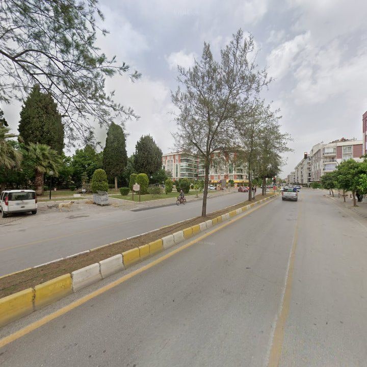 Fotoğraf 11