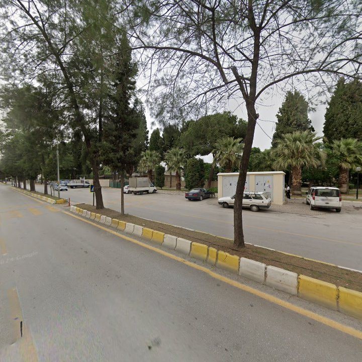Fotoğraf 10