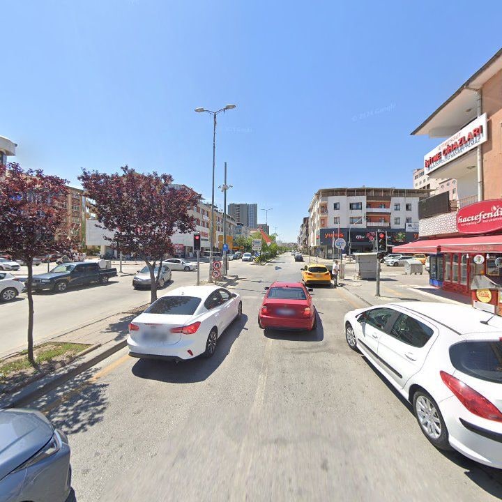 Fotoğraf 10