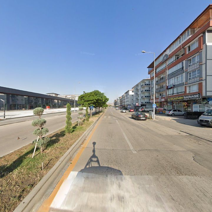 Fotoğraf 9