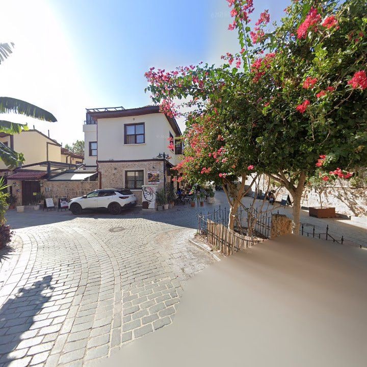 Fotoğraf 13