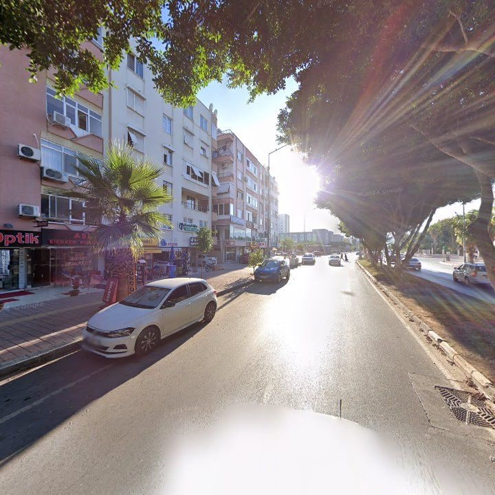 Fotoğraf 8