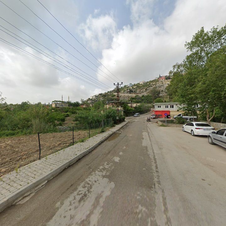 Fotoğraf 7
