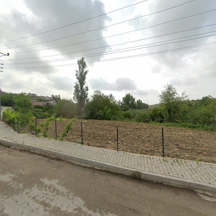 Fotoğraf 6