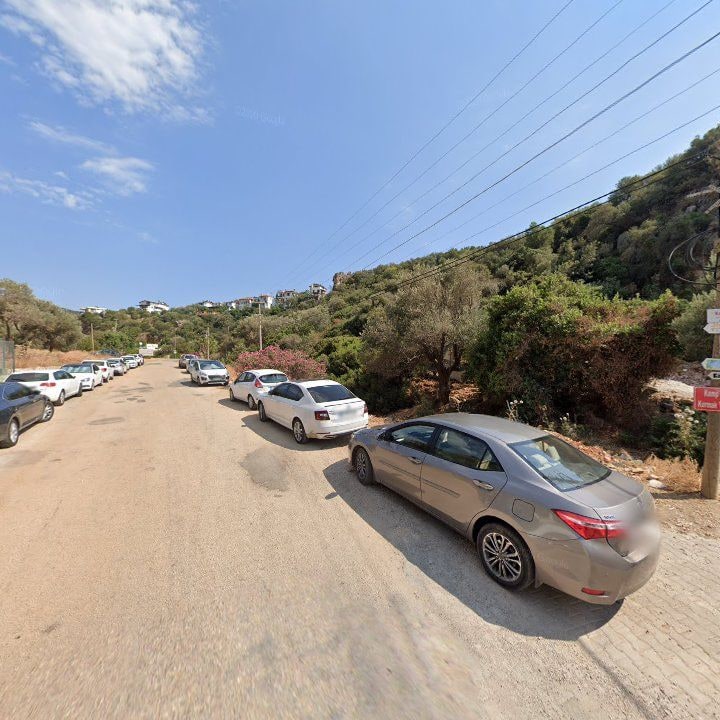 Fotoğraf 8
