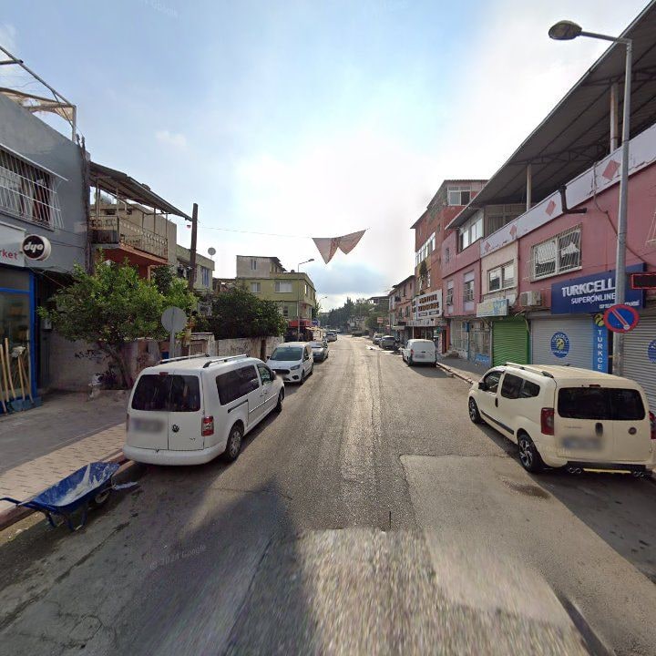 Fotoğraf 8